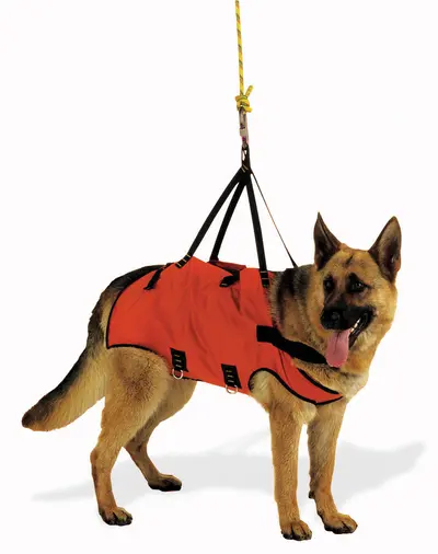 ALP DESIGN HUNDEGESCHIRR