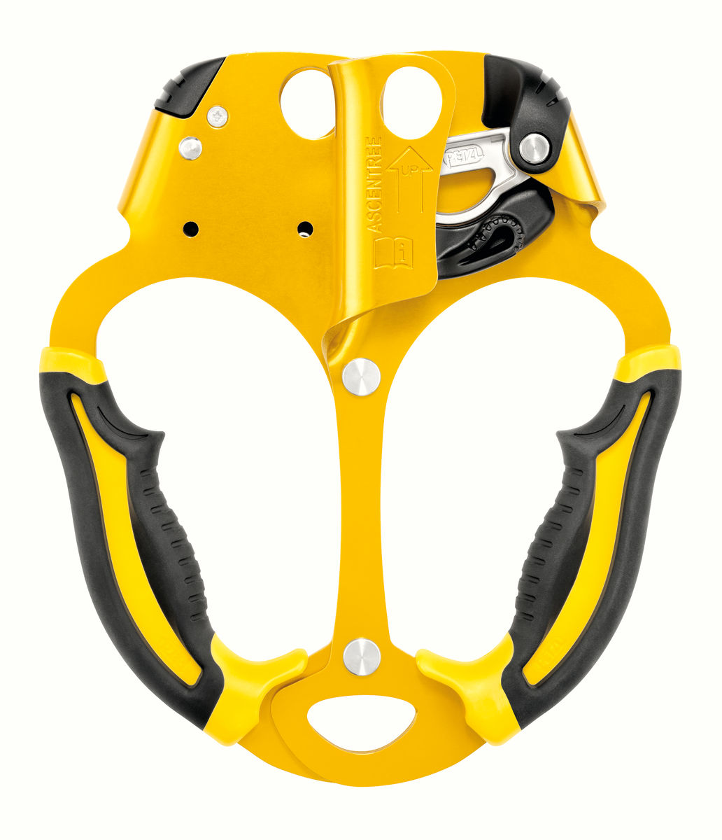 PETZL ASCENTREE – immagine 1 di 3