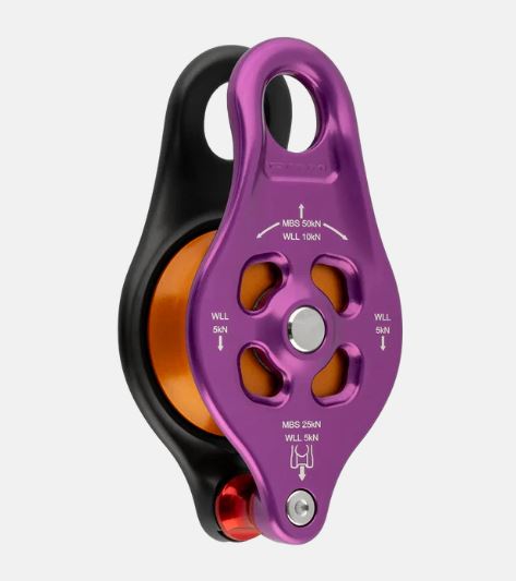 DMM PINTO RIG 2