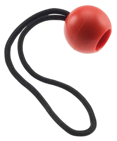 CAMP HERBOL BALL
