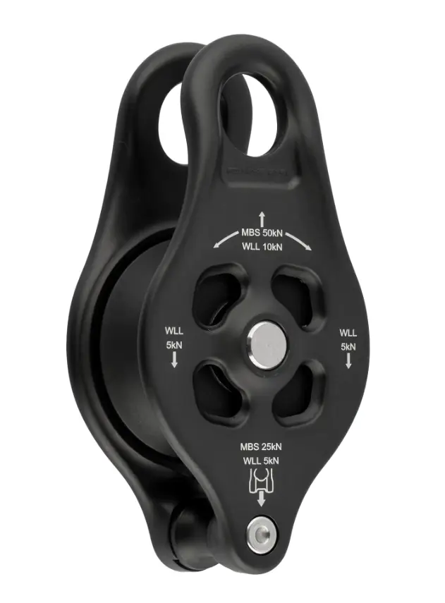 DMM PINTO RIG 2