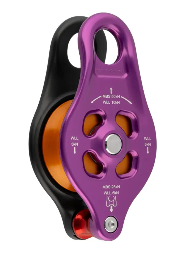 DMM PINTO RIG 2